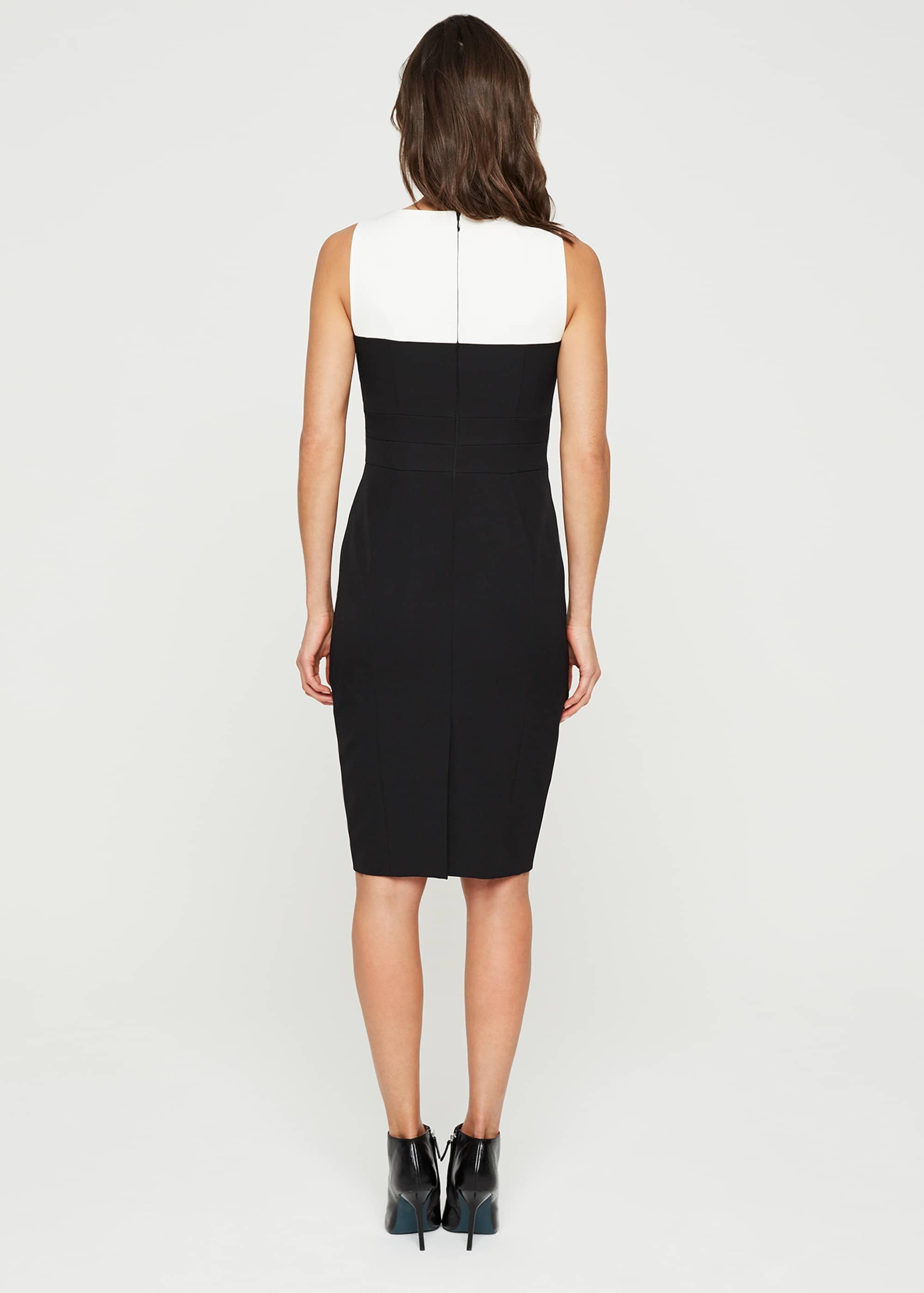 Vida Colourblock Fitted Dress