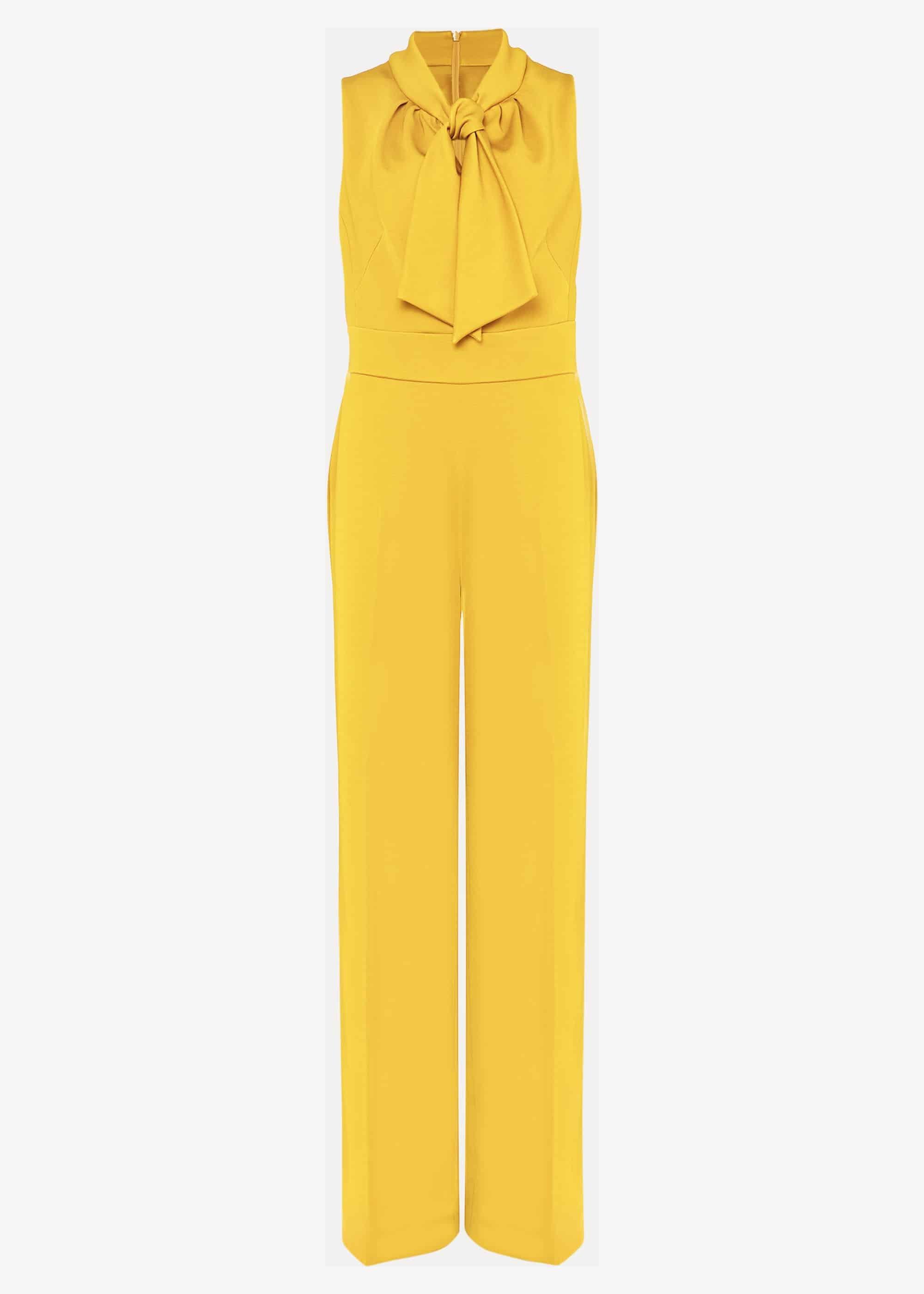 Tyna Neck Tie Jumpsuit
