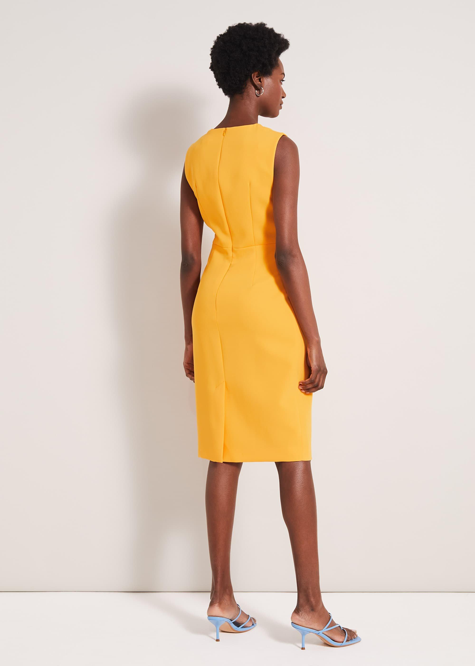Alanis Fitted Dress