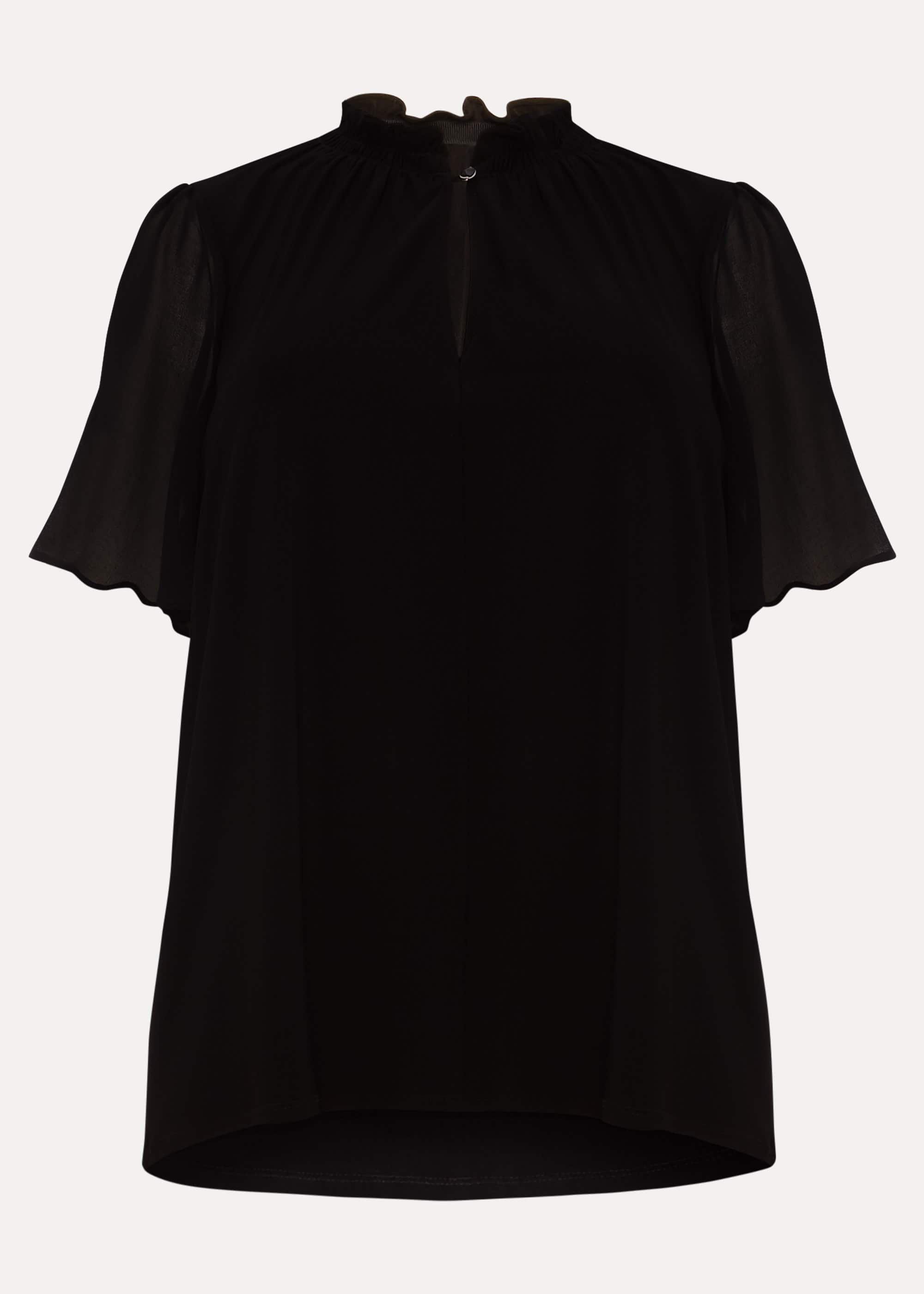 Erin Sheer Sleeve Top