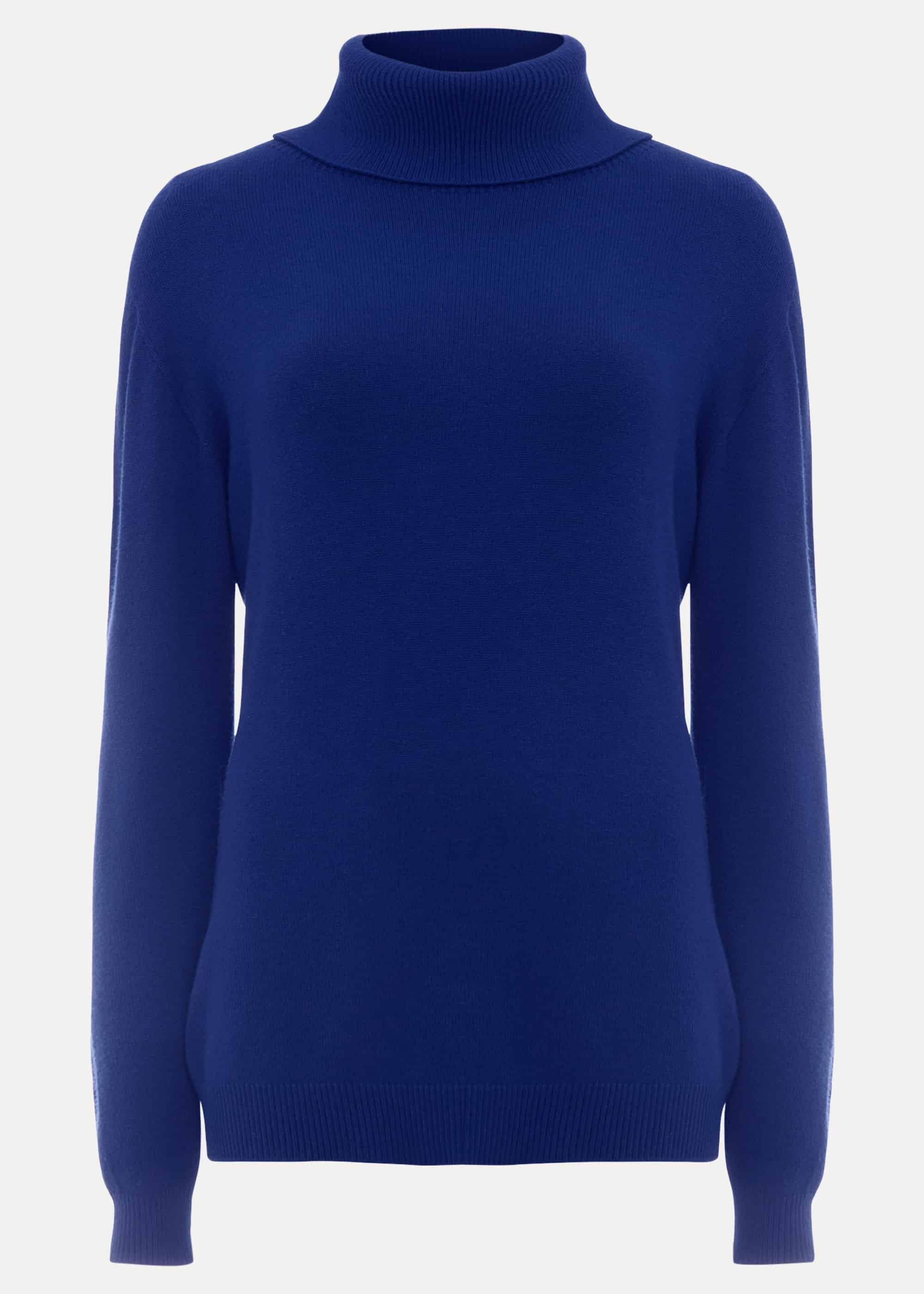 Reni Roll Neck Knit Top