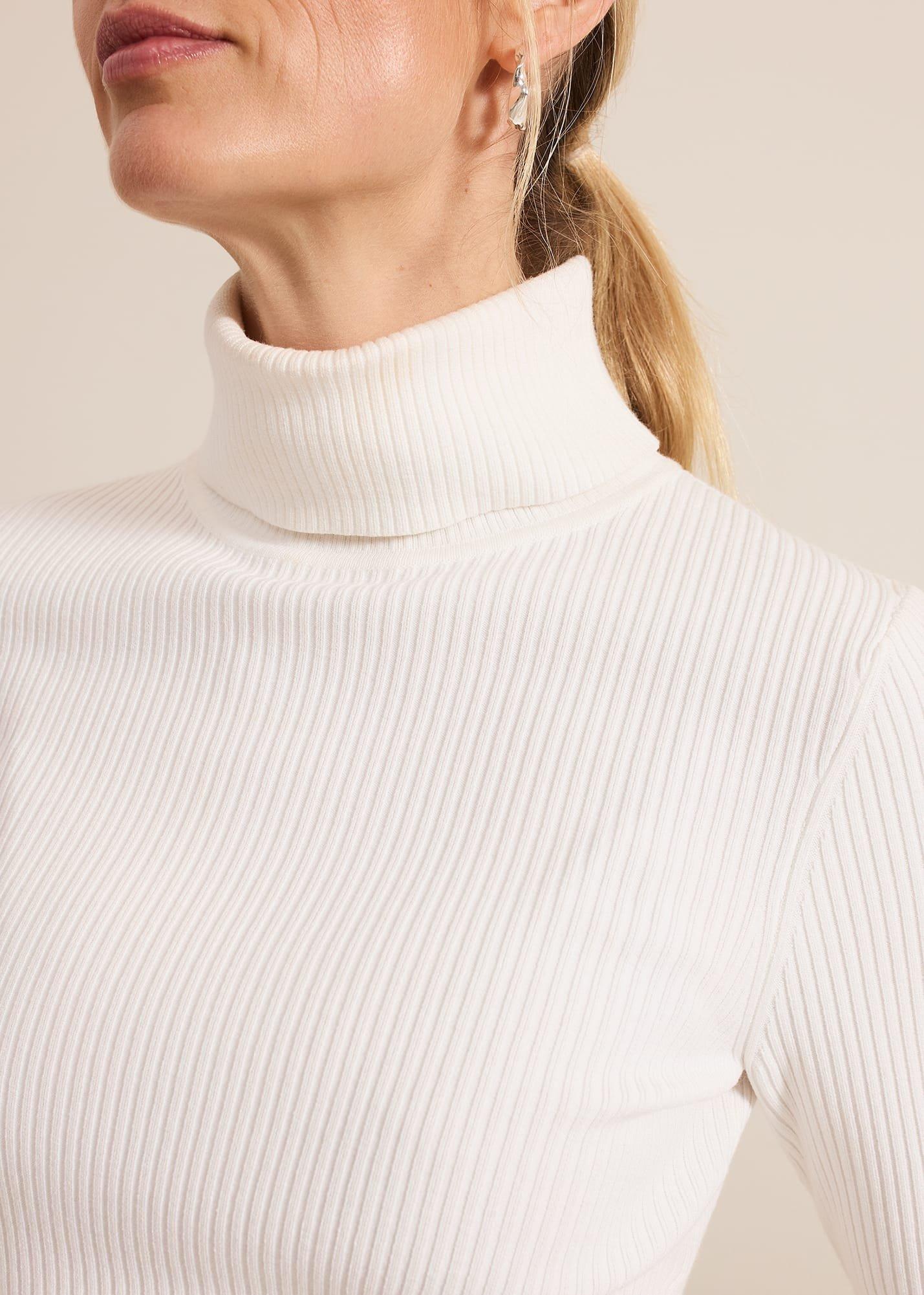Fran Fluted Sleeve Ribbed Roll Neck