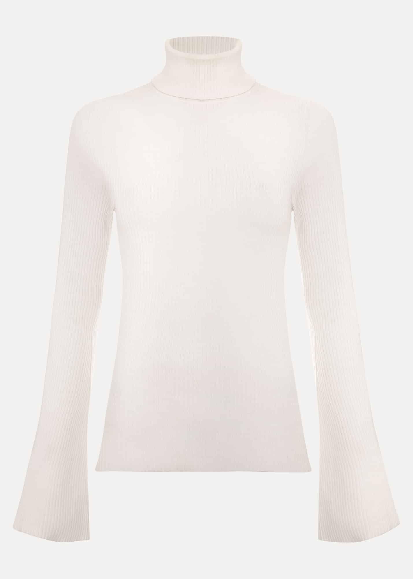 Fran Fluted Sleeve Ribbed Roll Neck
