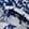 Blue/White