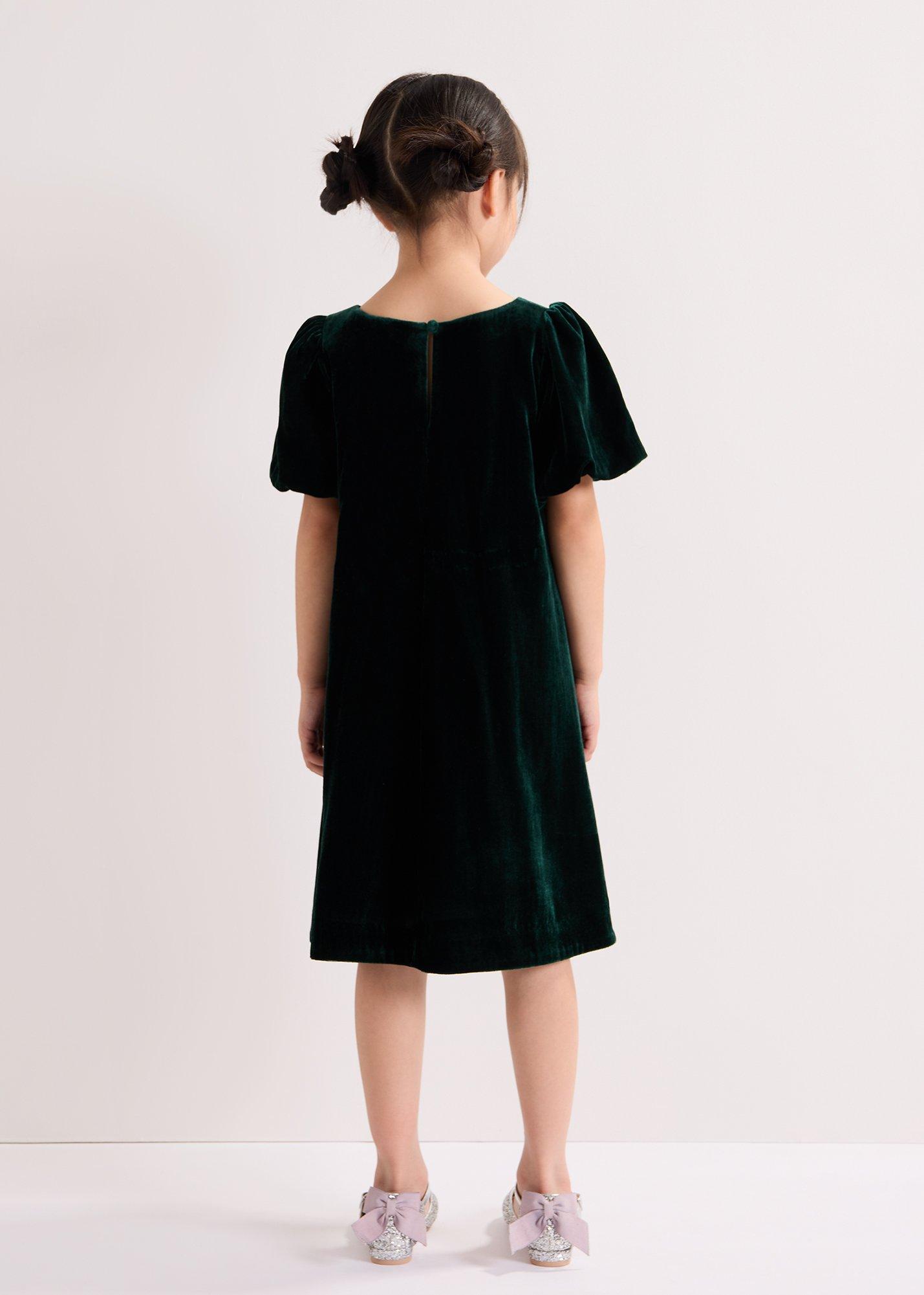 Beatrice Dark Green Velvet Swing Dress
