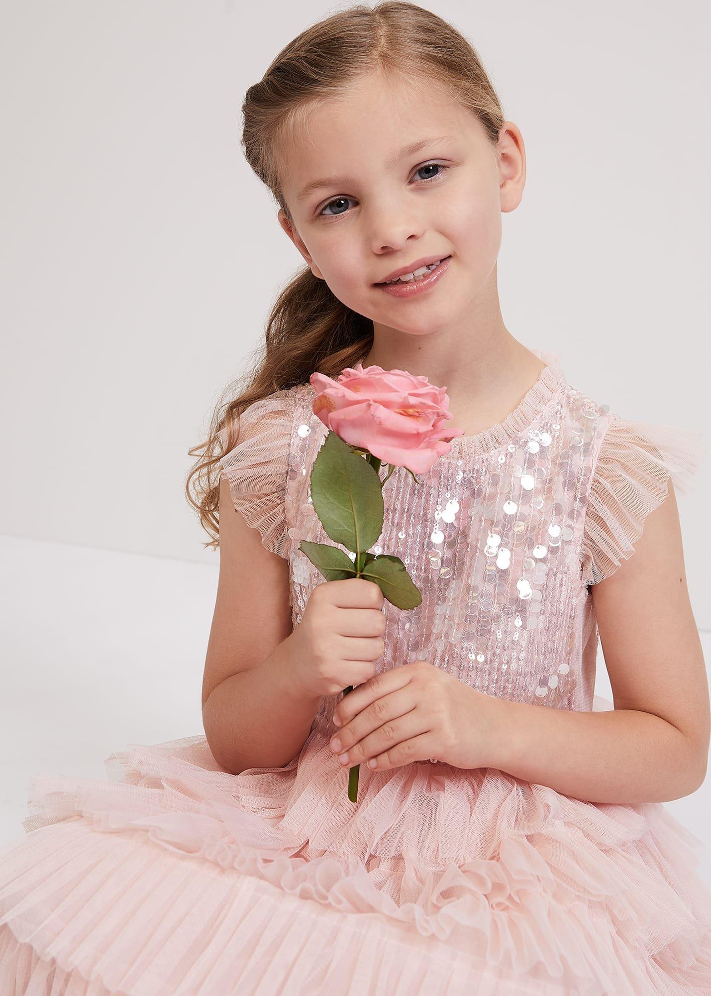 Bobbi Pale Pink Beaded Tulle Dress