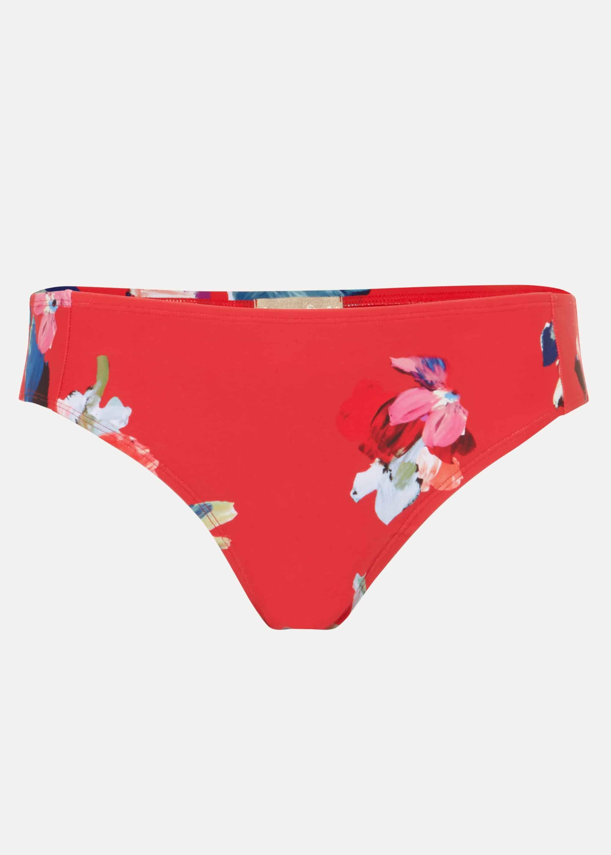 Monica Print Tankini Briefs