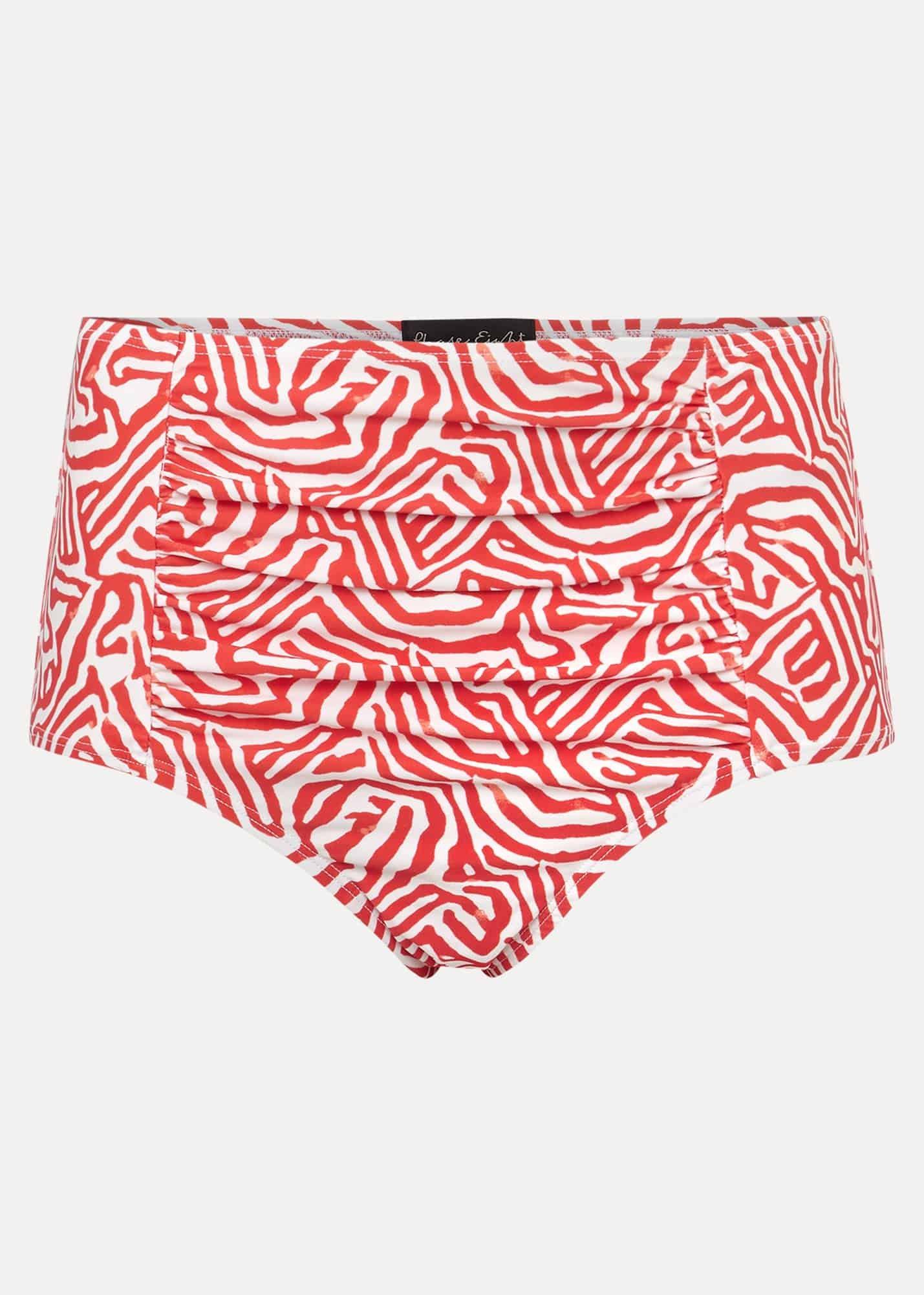 Isabelle Zebra Bikni Brief