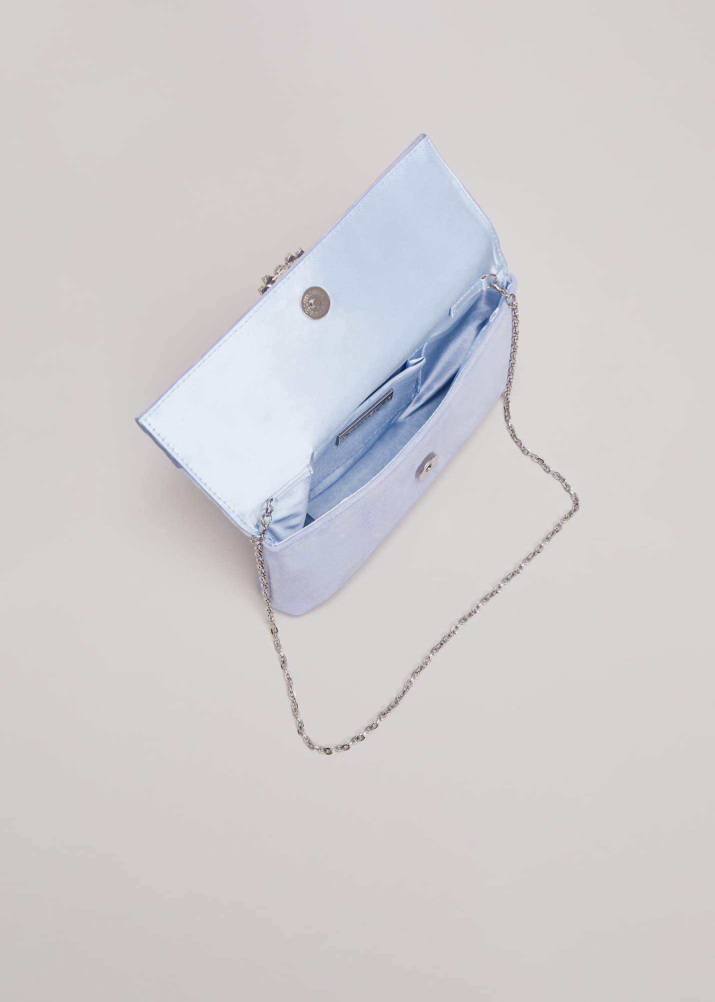 Embellished Slim Clutch Bag